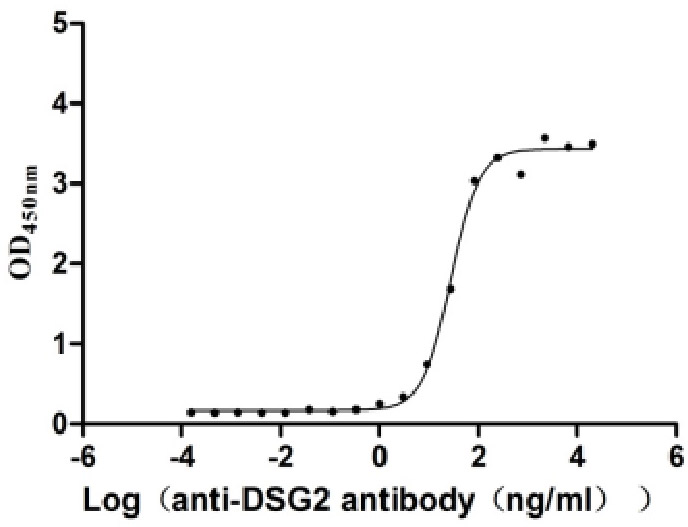 Activity assay of CSB-MP622752HU