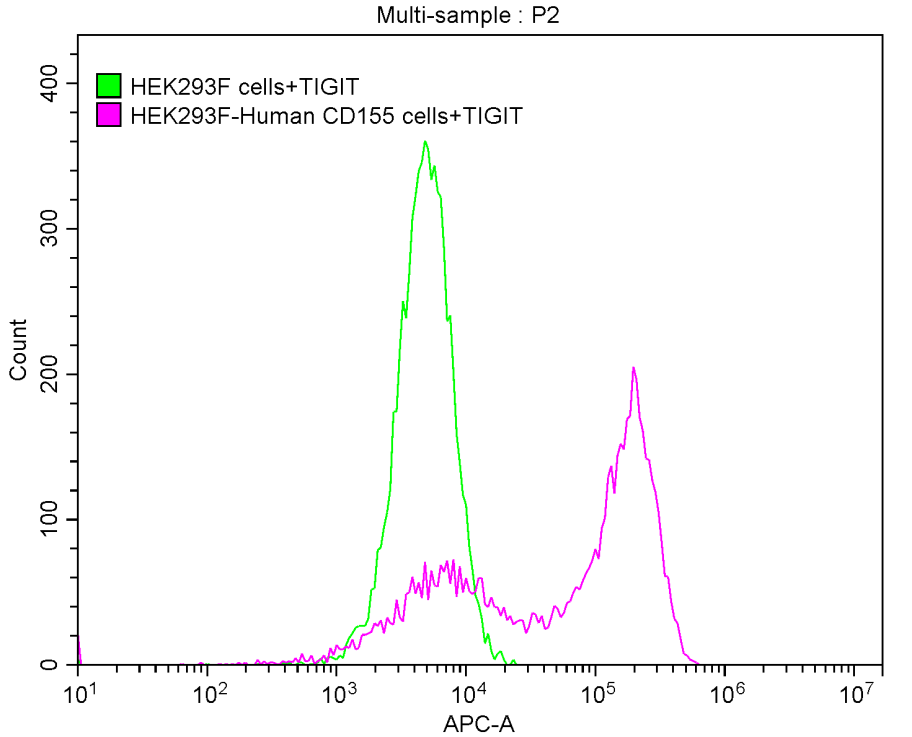 CSB-MP675446HU