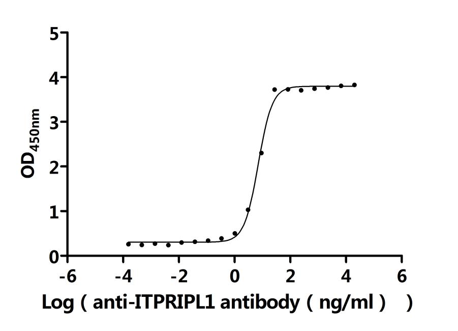 Recombinant Human Inositol 1, 4, 5-trisphosphate receptor-interacting protein-like 1 (ITPRIPL1) , partial (Active) - image 2