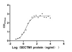 Activity assay of CSB-MP819898HU