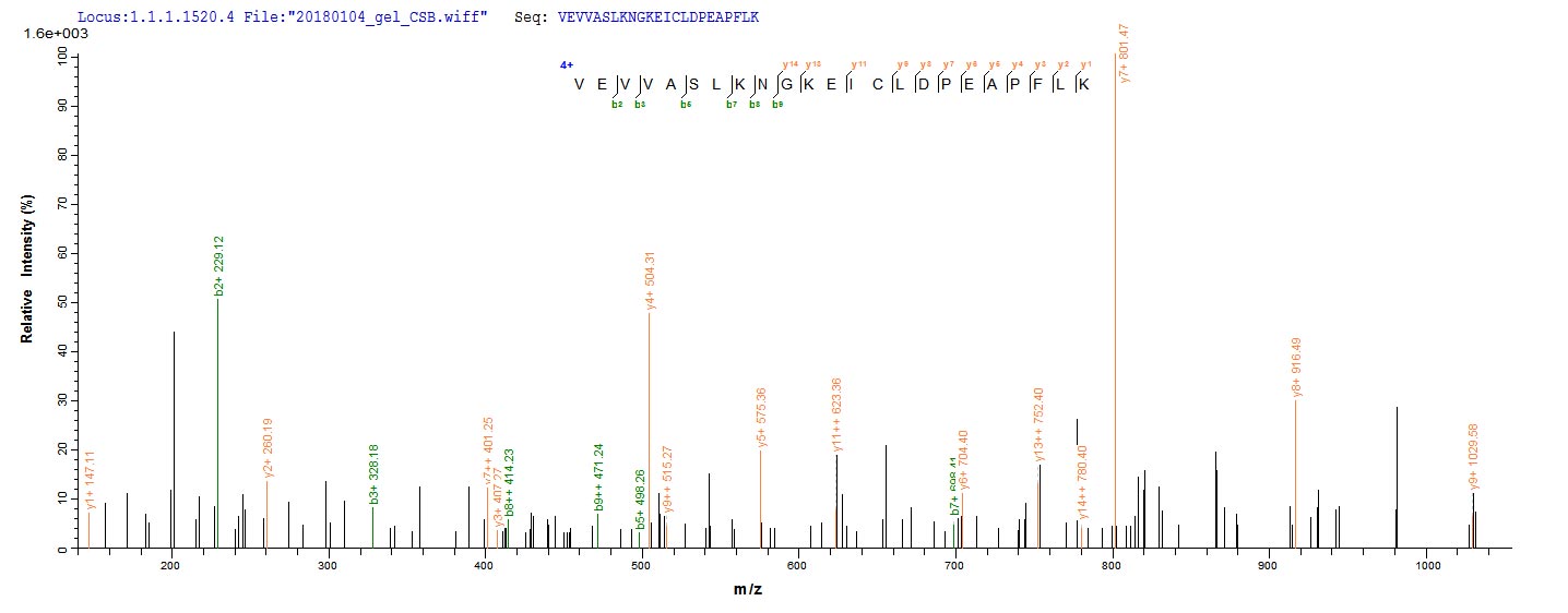 LC-MS Analysis 1- Recombinant protein Human CXCL5
