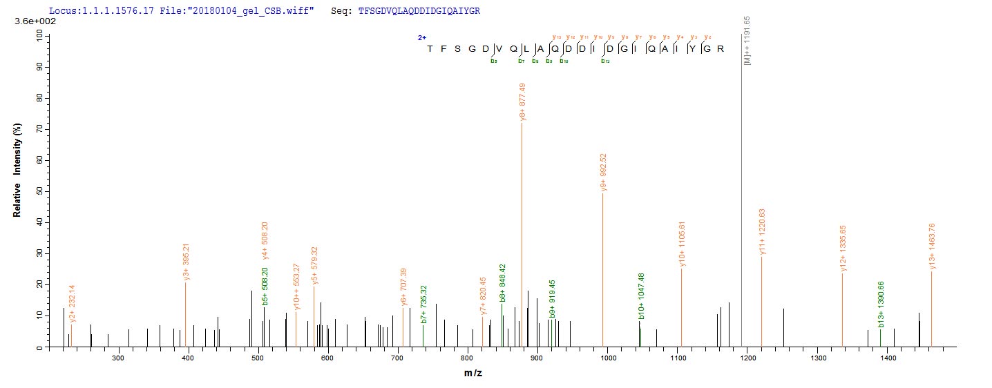 LC-MS Analysis 1- Recombinant protein Human MMP1