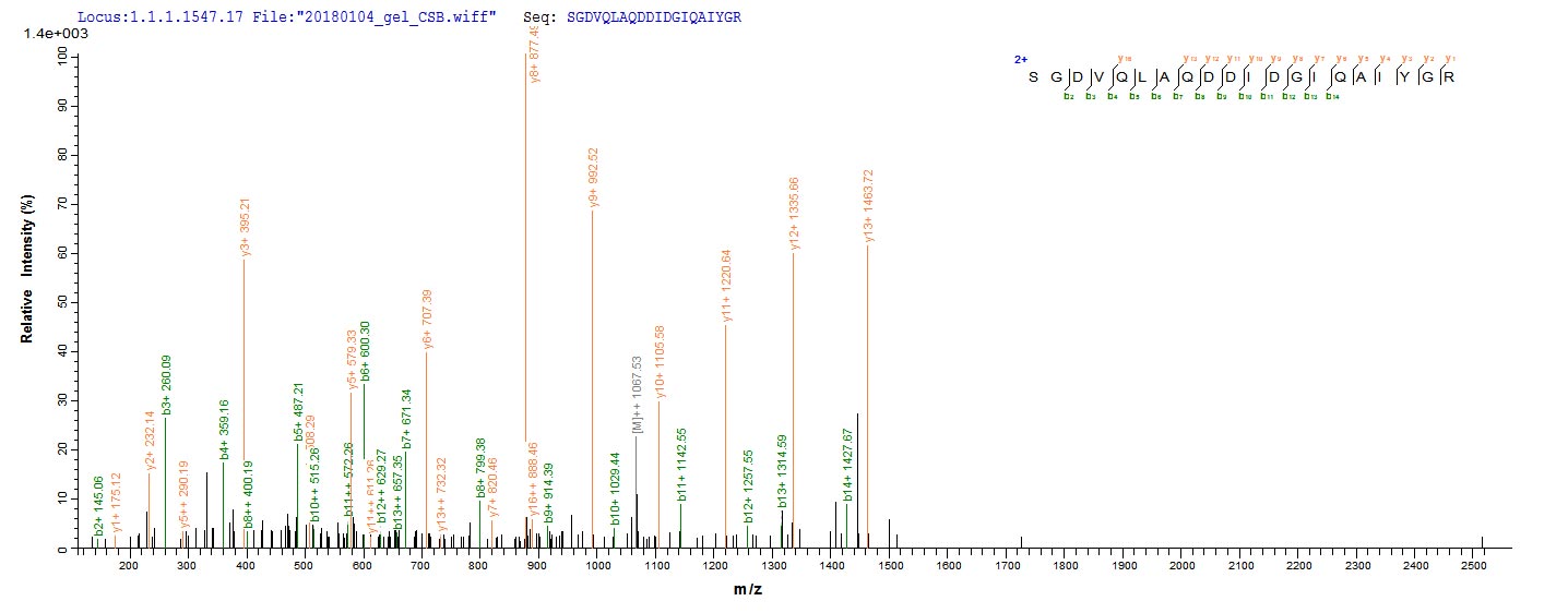 LC-MS Analysis 2- Recombinant protein Human MMP1