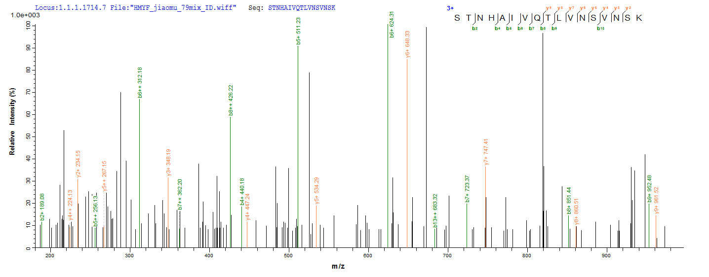 LC-MS Analysis 2- Recombinant protein Human BMP2