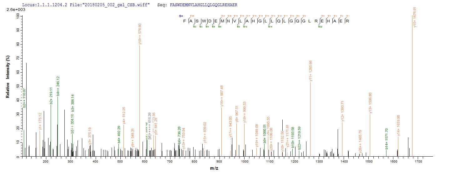 LC-MS Analysis 1- Recombinant protein Human ANGPTL4