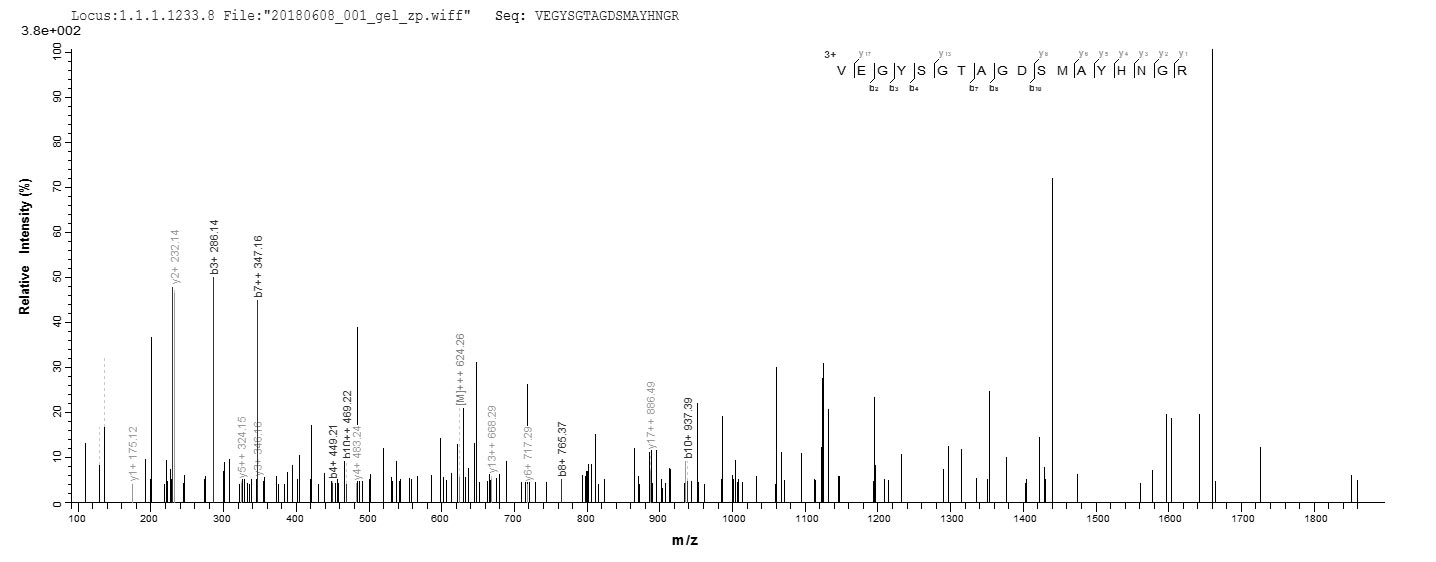 LC-MS Analysis 1- Recombinant protein Human TNC