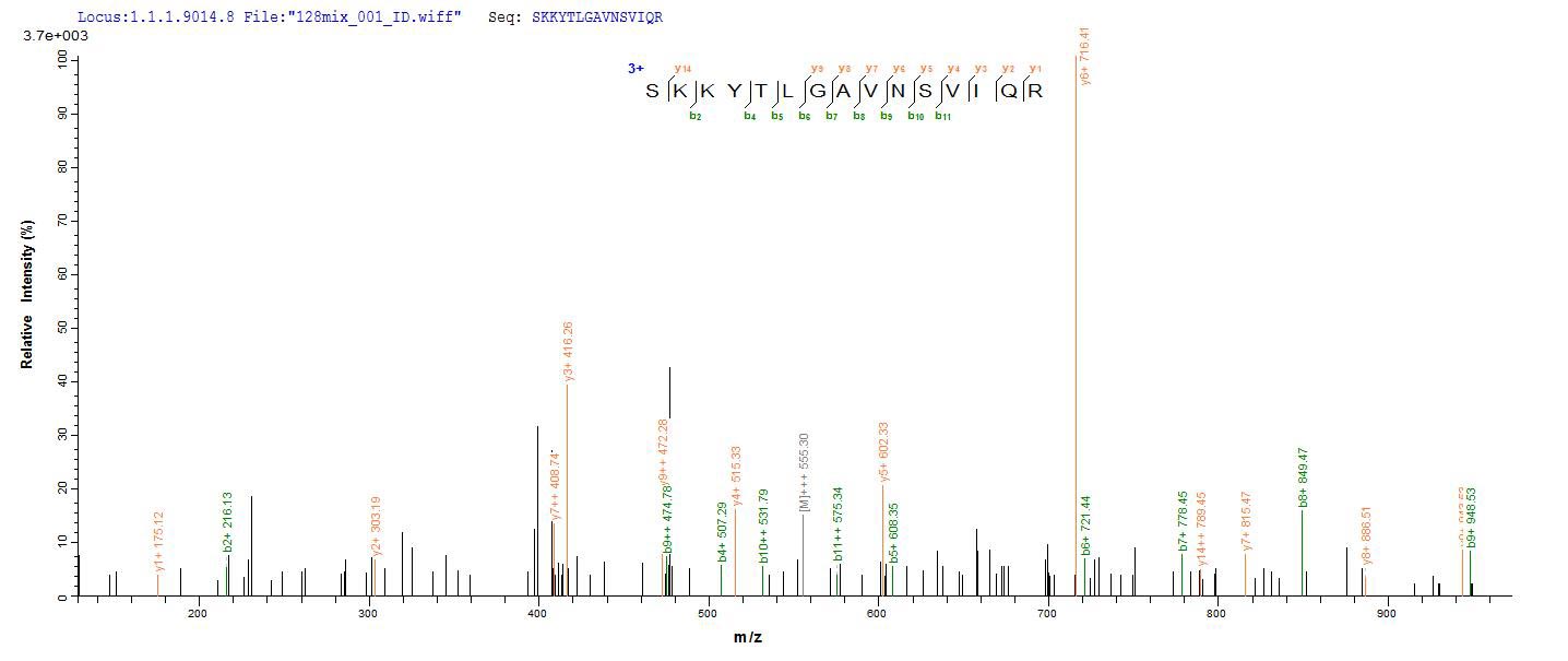 LC-MS Analysis 1- Recombinant protein Escherichia metC