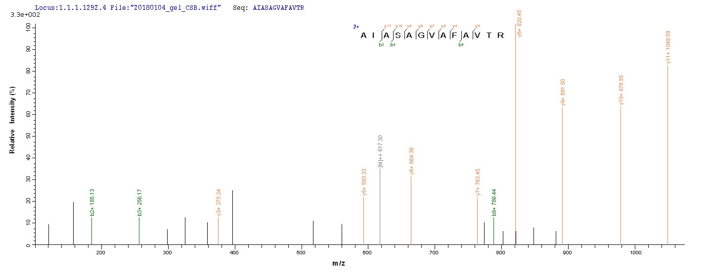 LC-MS Analysis 1- Recombinant protein Human WNT3A
