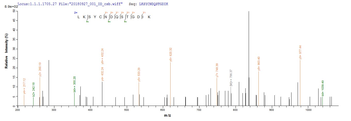Based on the SEQUEST from database of E.coli host and target protein, the LC-MS/MS Analysis result of CSB-RP158274h could indicate that this peptide derived from E.coli-expressed Homo sapiens (Human) HPRT1.