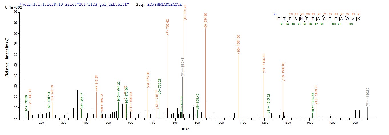 LC-MS Analysis 2- Recombinant protein Human ASGR1