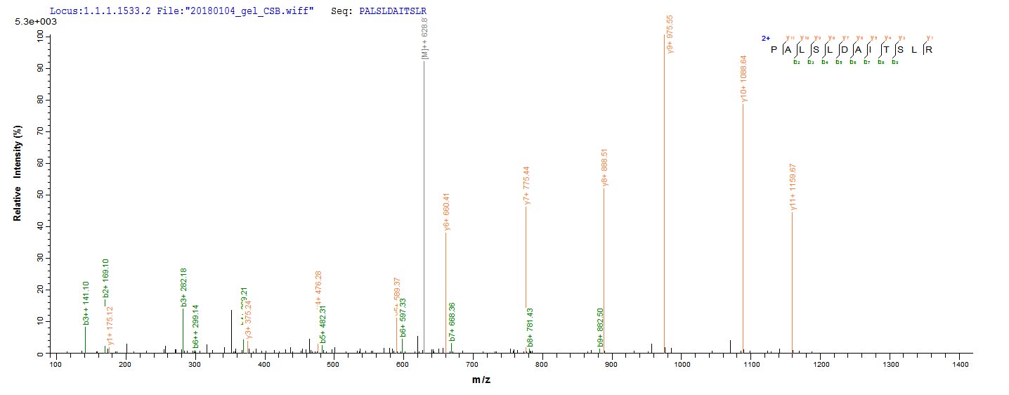 LC-MS Analysis 2- Recombinant protein Mouse Mmp13