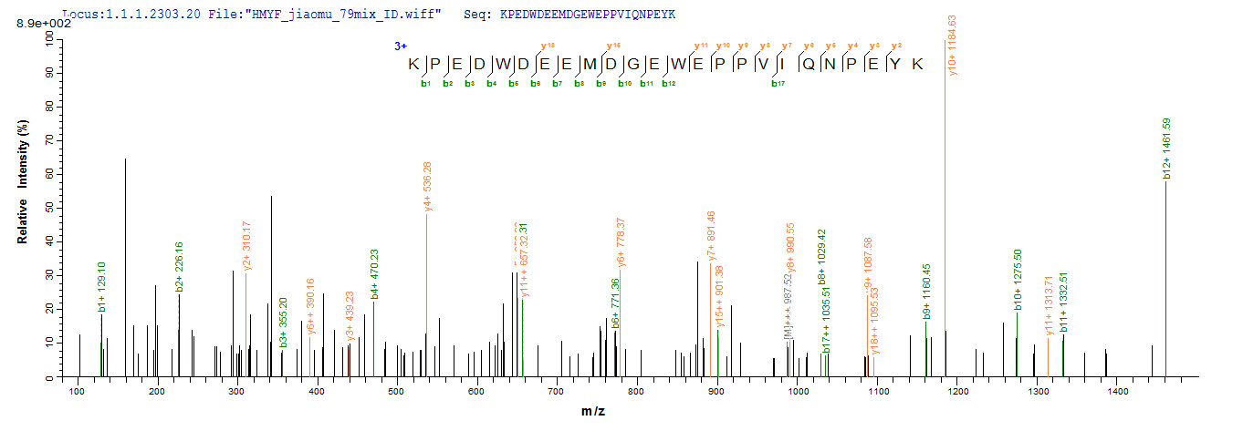 LC-MS Analysis 2- Recombinant protein Mouse Calr