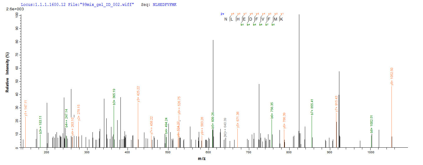 LC-MS Analysis 1- Recombinant protein Human CD40LG