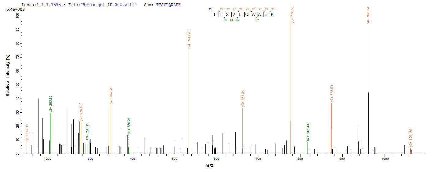 LC-MS Analysis 2- Recombinant protein Human CD40LG