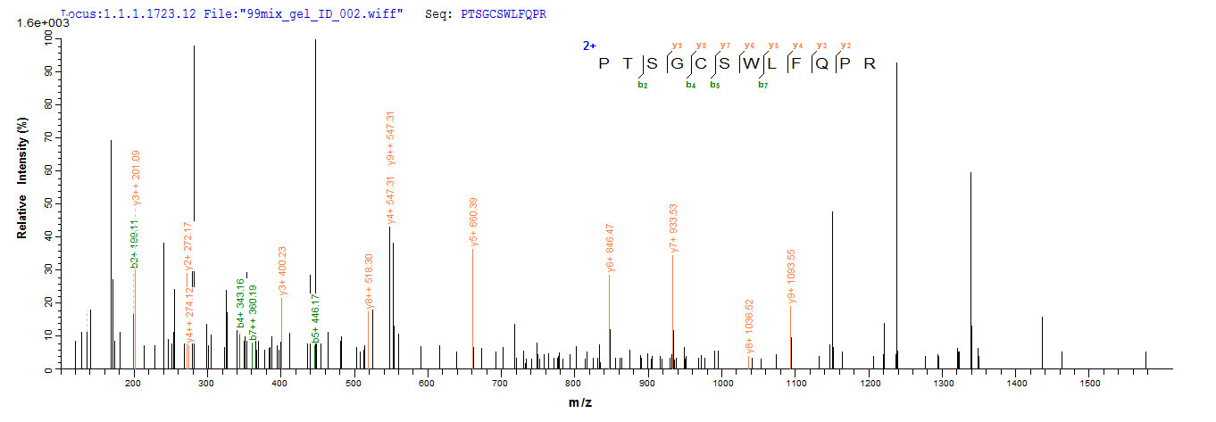 CSB-YP004966HU