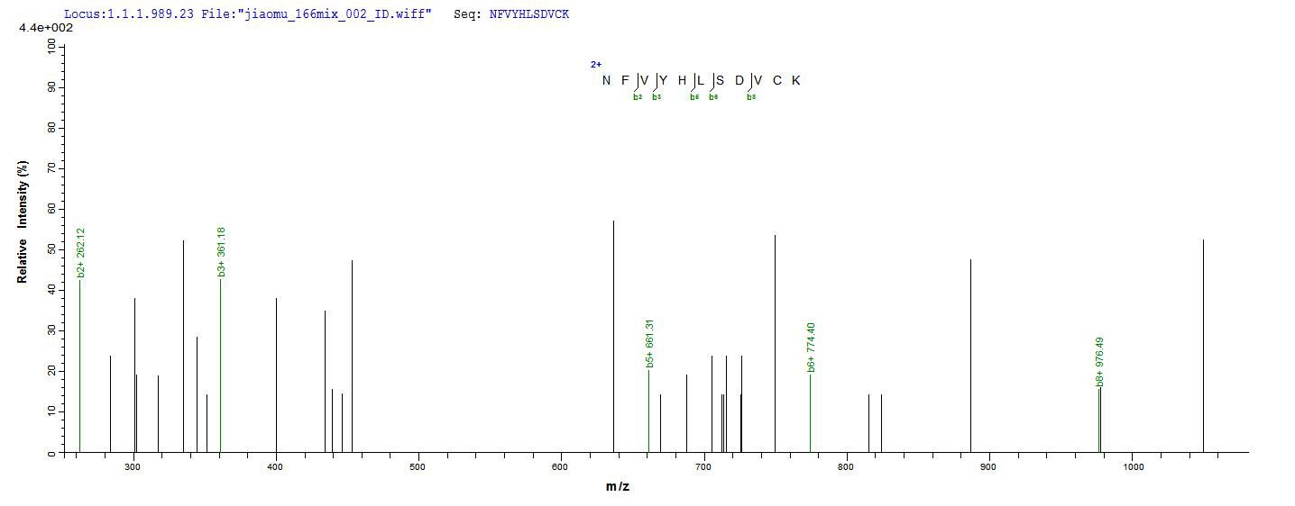 LC-MS Analysis 1- Recombinant protein Mouse Igj