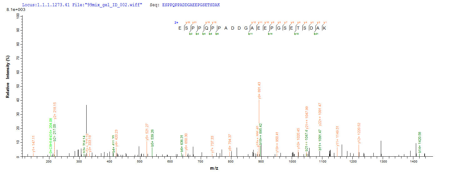 LC-MS Analysis 2- Recombinant protein Mouse Mapt