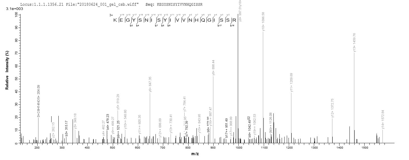 LC-MS Analysis 2- Recombinant protein Human SEPP1