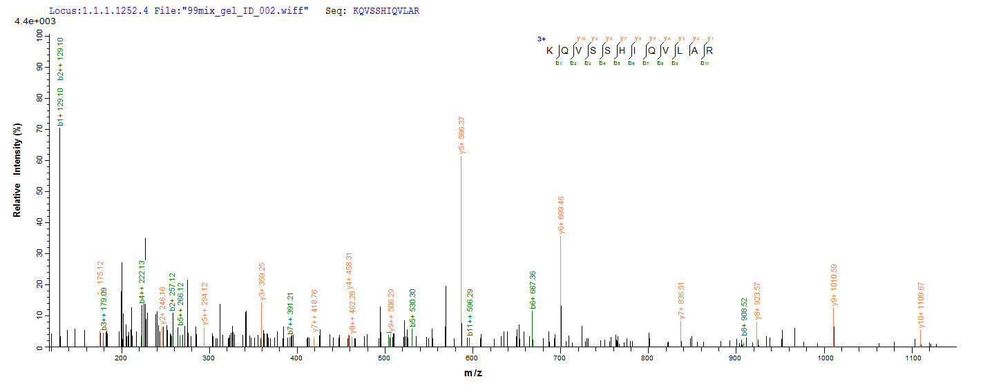 LC-MS Analysis 1- Recombinant protein Human TEAD1