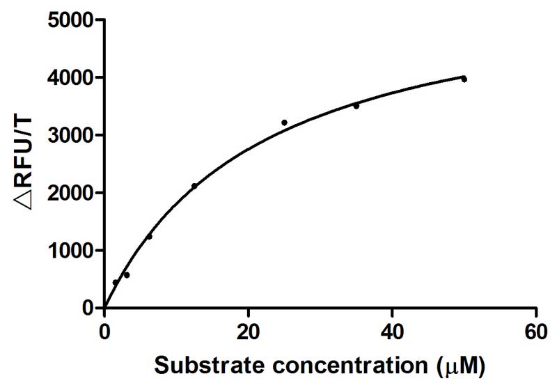 CSB-YP023924HU ELISA-1