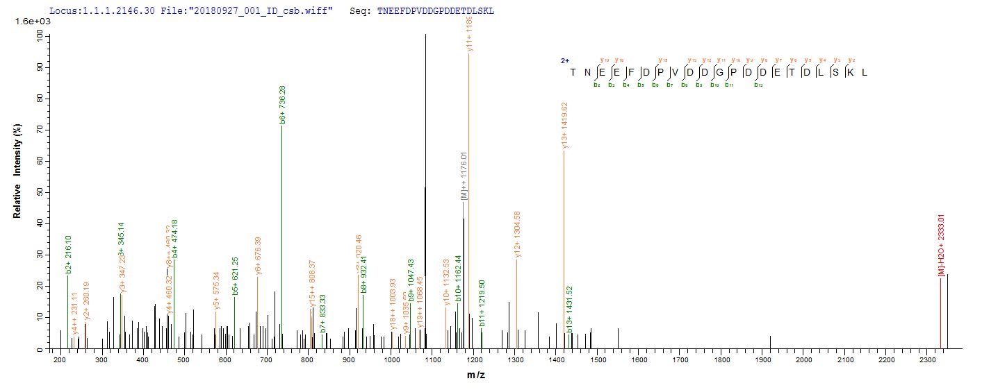 Based on the SEQUEST from database of Yeast host and target protein, the LC-MS/MS Analysis result of CSB-YP312446VAI could indicate that this peptide derived from Yeast-expressed Vaccinia virus (strain Western Reserve) (VACV) (Vaccinia virus (strain WR)) PS/HR. Based on the SEQUEST from database of Yeast host and target protein, the LC-MS/MS Analysis result of CSB-YP312446VAI could indicate that this peptide derived from Yeast-expressed Vaccinia virus (strain Western Reserve) (VACV) (Vaccinia virus (strain WR)) PS/HR.