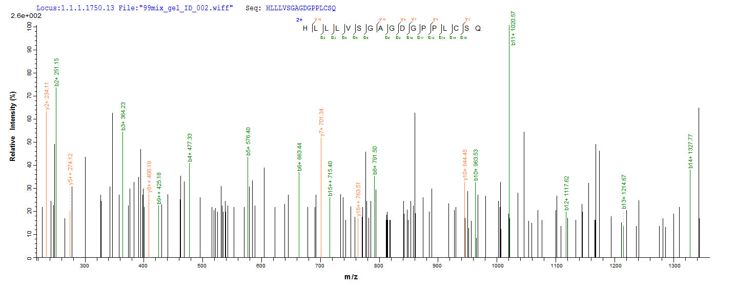 LC-MS Analysis 1- Recombinant protein Epstein-Barr LMP1