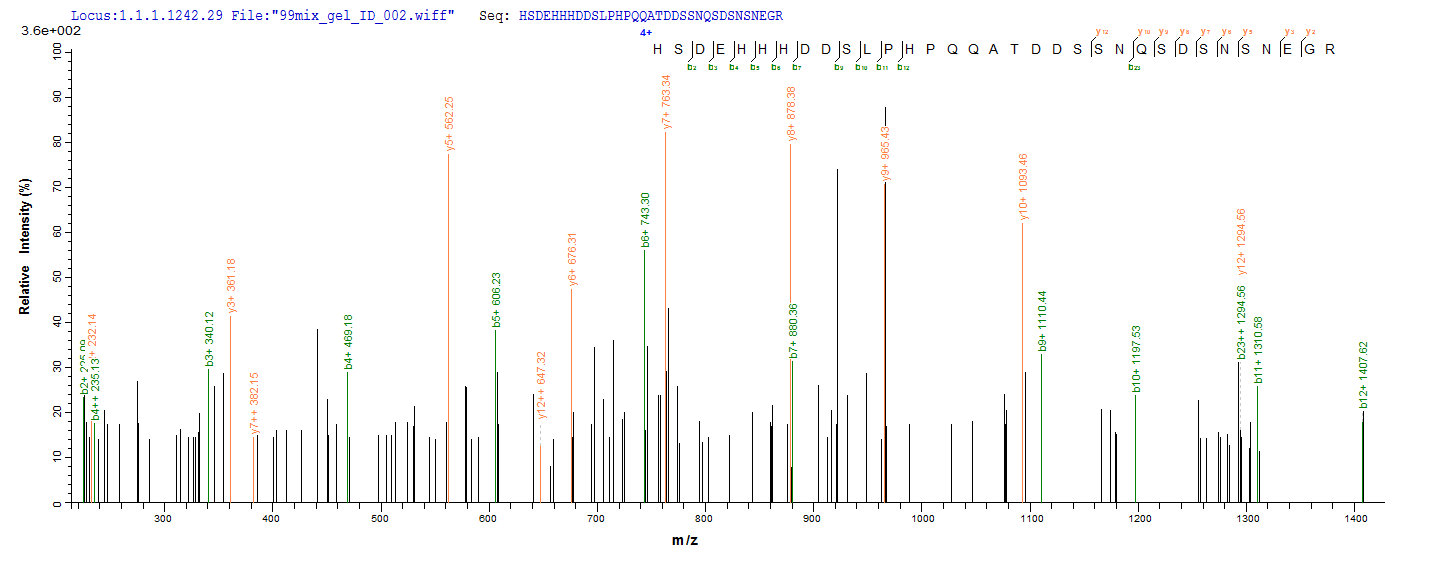 LC-MS Analysis 2- Recombinant protein Epstein-Barr LMP1