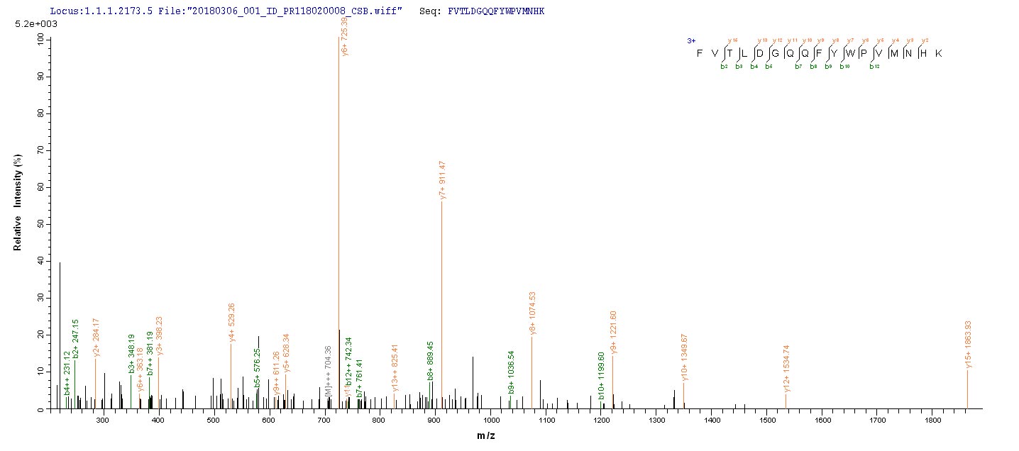 LC-MS Analysis 1- Recombinant protein Zaire NP