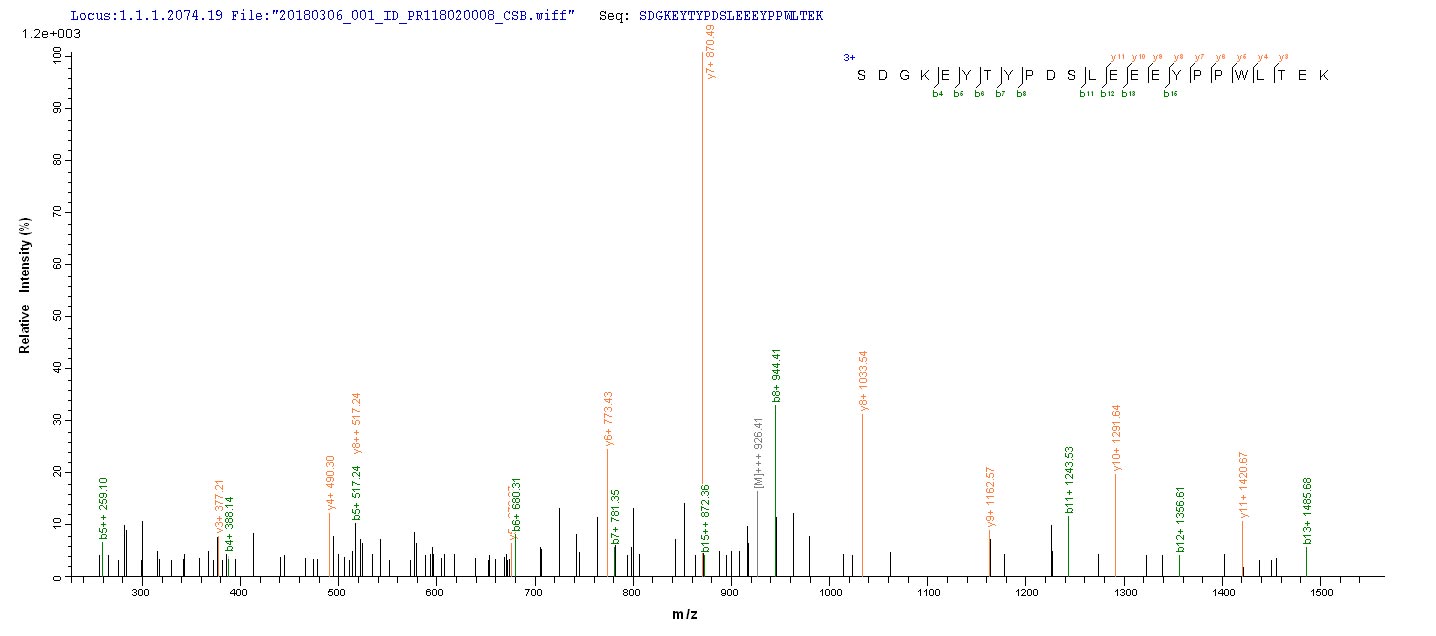 LC-MS Analysis 2- Recombinant protein Zaire NP