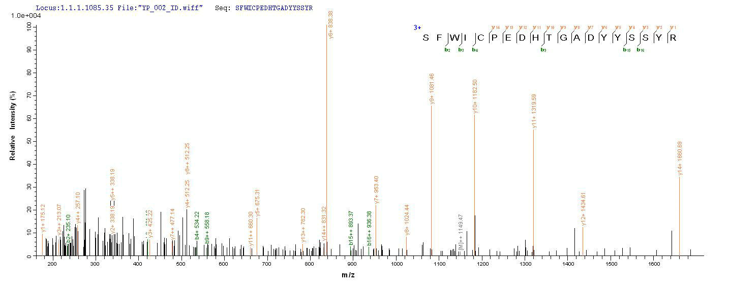 LC-MS Analysis 2 - Recombinant Ornithodoros moubata Tick anticoagulant peptide