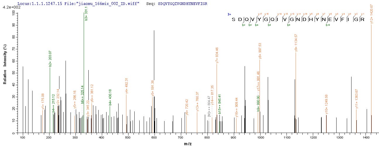 CSB-YP338957PQP LC-MS/MS-1