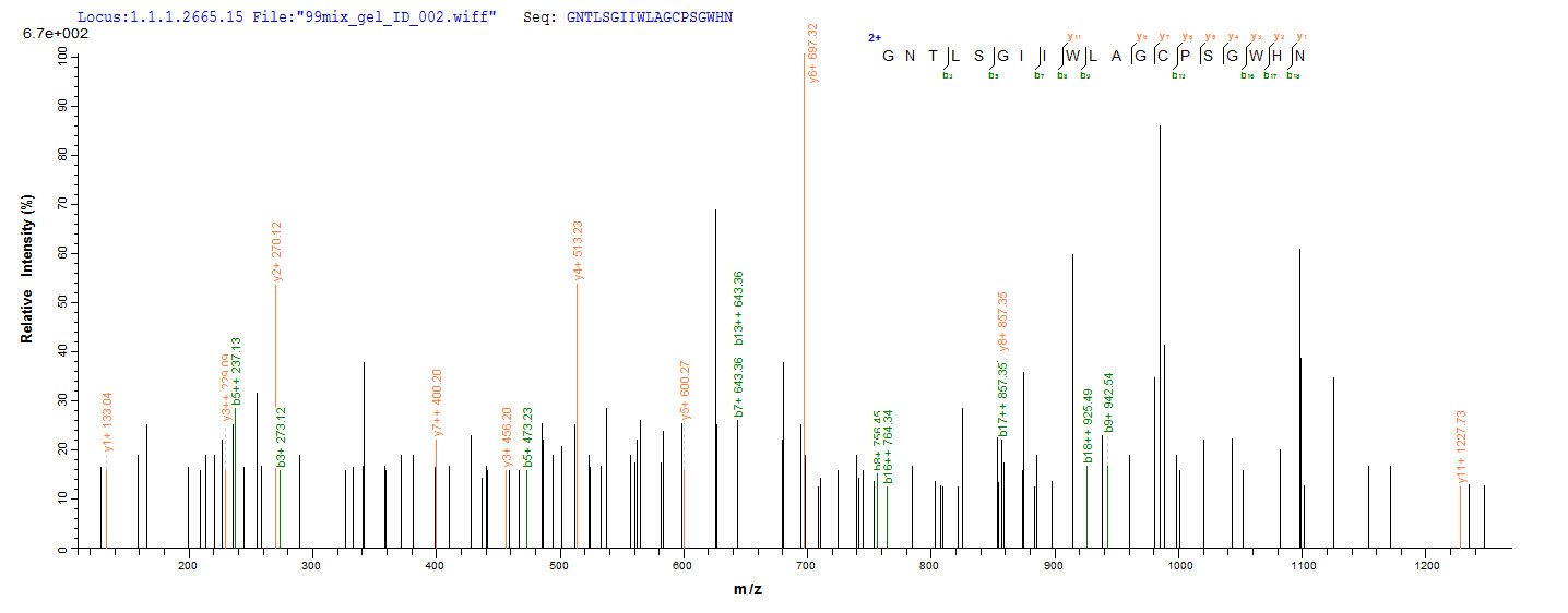 LC-MS Analysis 1 - Recombinant Anemonia sulcata Delta-actitoxin-Avd1c