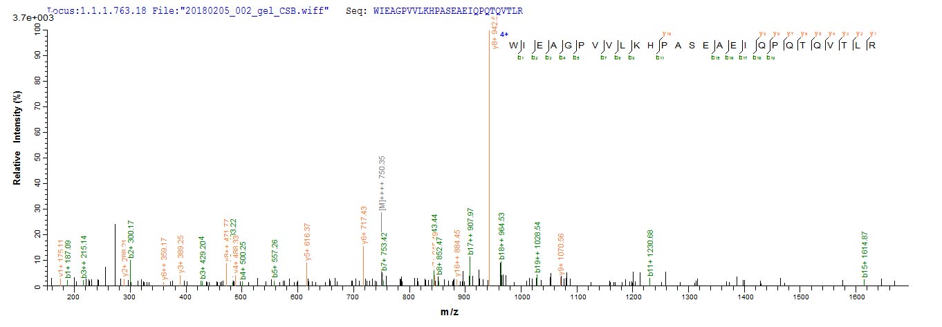 LC-MS Analysis 1- Recombinant protein Human PTK7