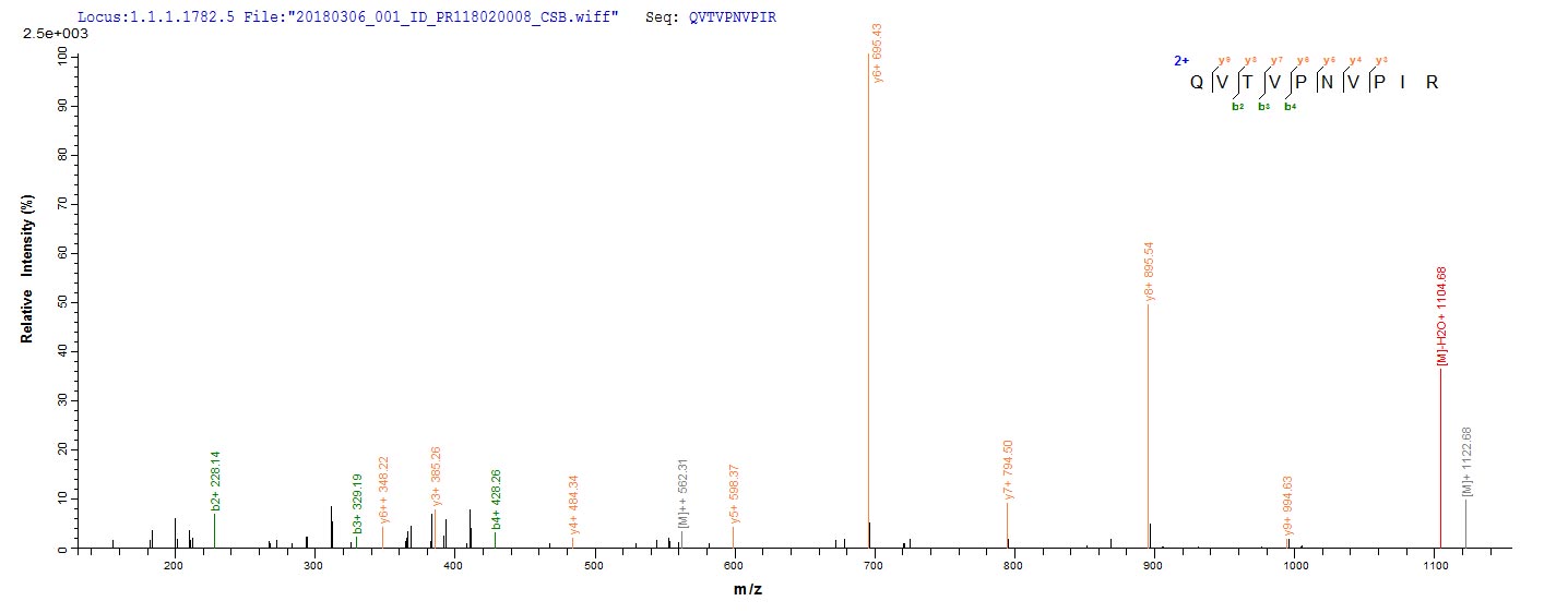 LC-MS Analysis 1- Recombinant protein Bovine ADIPOQ