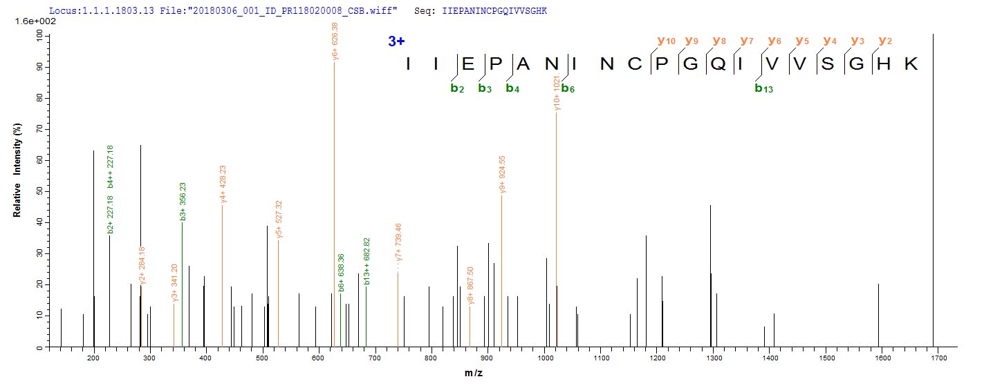 LC-MS Analysis 1- Recombinant protein Staphylococcus fabD
