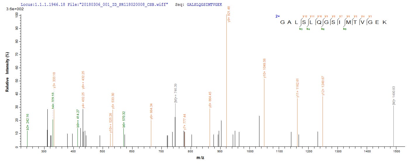 LC-MS Analysis 1- Recombinant protein Human SFTPA1