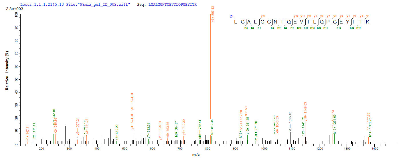 CSB-YP836195HU-1