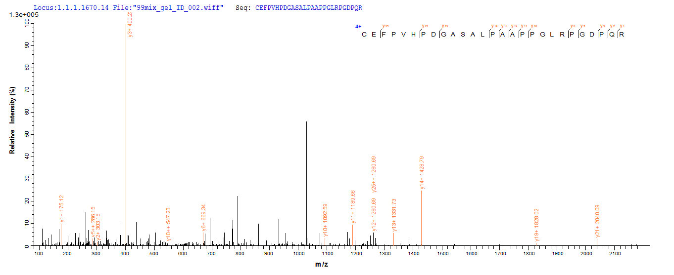 LC-MS Analysis 1- Recombinant protein Human DLL3
