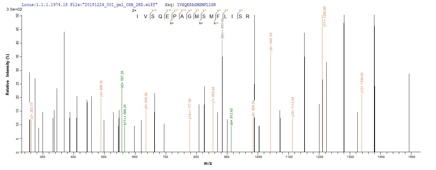 Recombinant Mouse Desmoglein-3 (Dsg3) , partial - image 1