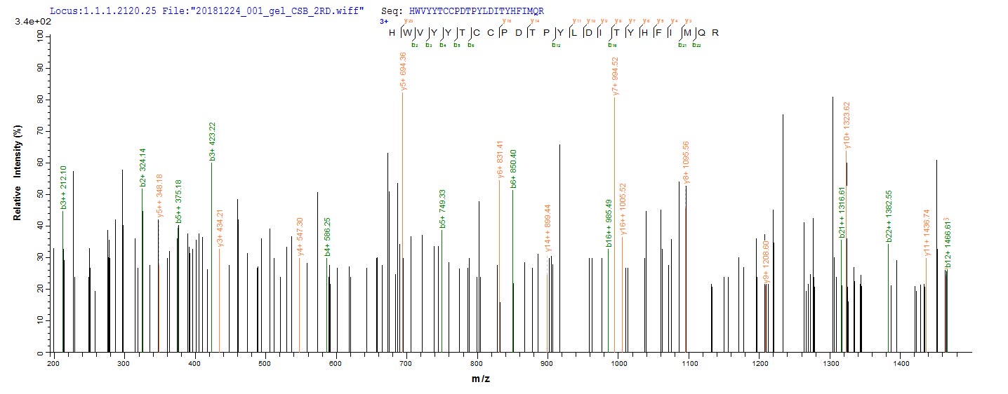 CSB-EP005386TOTa2 LC-MS/MS-1