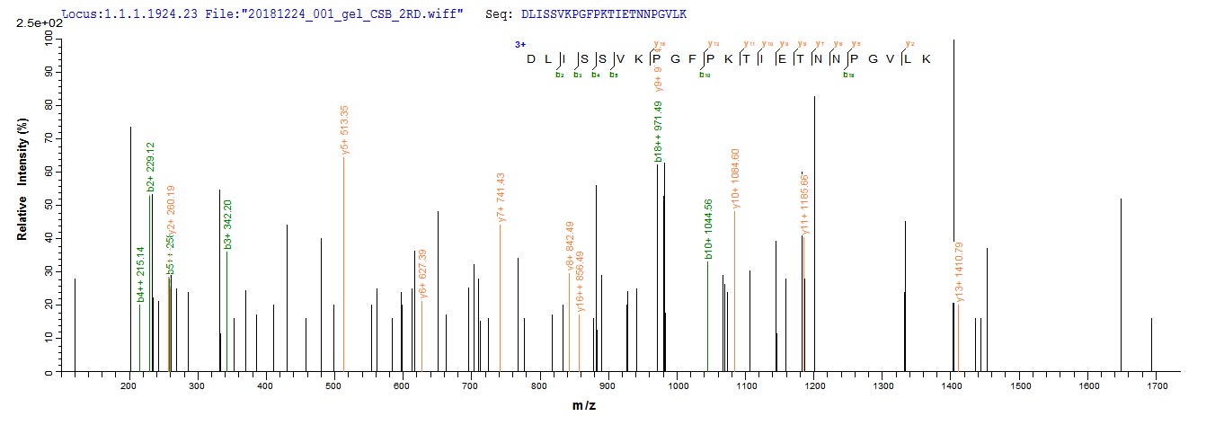 Recombinant Mouse Cystatin-F (Cst7) - image 1