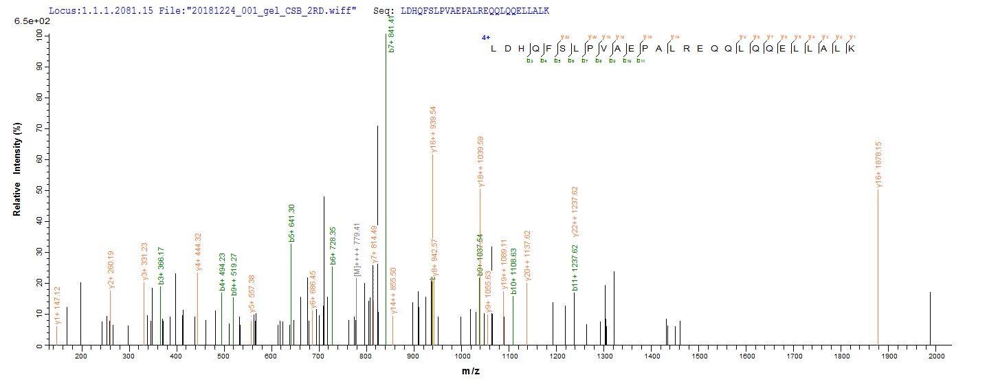 Based on the SEQUEST from database of E.coli host and target protein, the LC-MS/MS Analysis result of CSB-EP010240HU could indicate that this peptide derived from E.coli-expressed Homo sapiens (Human) HDAC4.