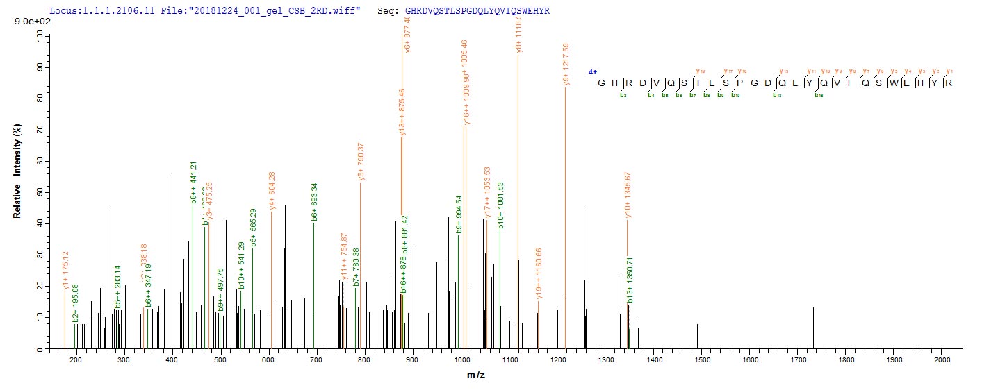Recombinant Mouse Peptidoglycan recognition protein 1 (Pglyrp1) - image 1