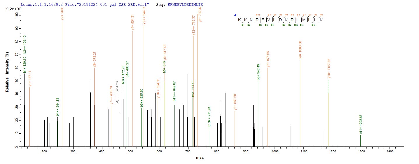 Based on the SEQUEST from database of E.coli host and target protein, the LC-MS/MS Analysis result of CSB-EP356569EZB could indicate that this peptide derived from E.coli-expressed Protobothrops flavoviridis (Habu) (Trimeresurus flavoviridis) TLF1. Based on the SEQUEST from database of E.coli host and target protein, the LC-MS/MS Analysis result of CSB-EP356569EZB could indicate that this peptide derived from E.coli-expressed Protobothrops flavoviridis (Habu) (Trimeresurus flavoviridis) TLF1.