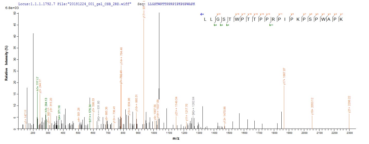 Based on the SEQUEST from database of E.coli host and target protein, the LC-MS/MS Analysis result of CSB-EP356968HML could indicate that this peptide derived from E.coli-expressed Human papillomavirus type 16 E4. Based on the SEQUEST from database of E.coli host and target protein, the LC-MS/MS Analysis result of CSB-EP356968HML could indicate that this peptide derived from E.coli-expressed Human papillomavirus type 16 E4.