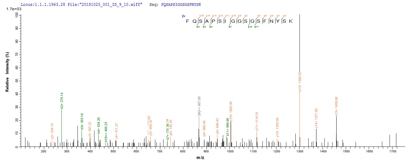 Based on the SEQUEST from database of E.coli host and target protein, the LC-MS/MS Analysis result of CSB-EP357861SUL could indicate that this peptide derived from E.coli-expressed Staphylococcus aureus (strain MW2) hlgA. Based on the SEQUEST from database of E.coli host and target protein, the LC-MS/MS Analysis result of CSB-EP357861SUL could indicate that this peptide derived from E.coli-expressed Staphylococcus aureus (strain MW2) hlgA.