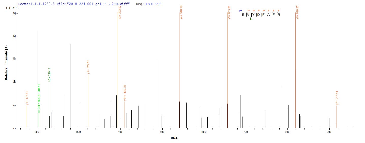 CSB-EP365854HML LC-MS/MS-2