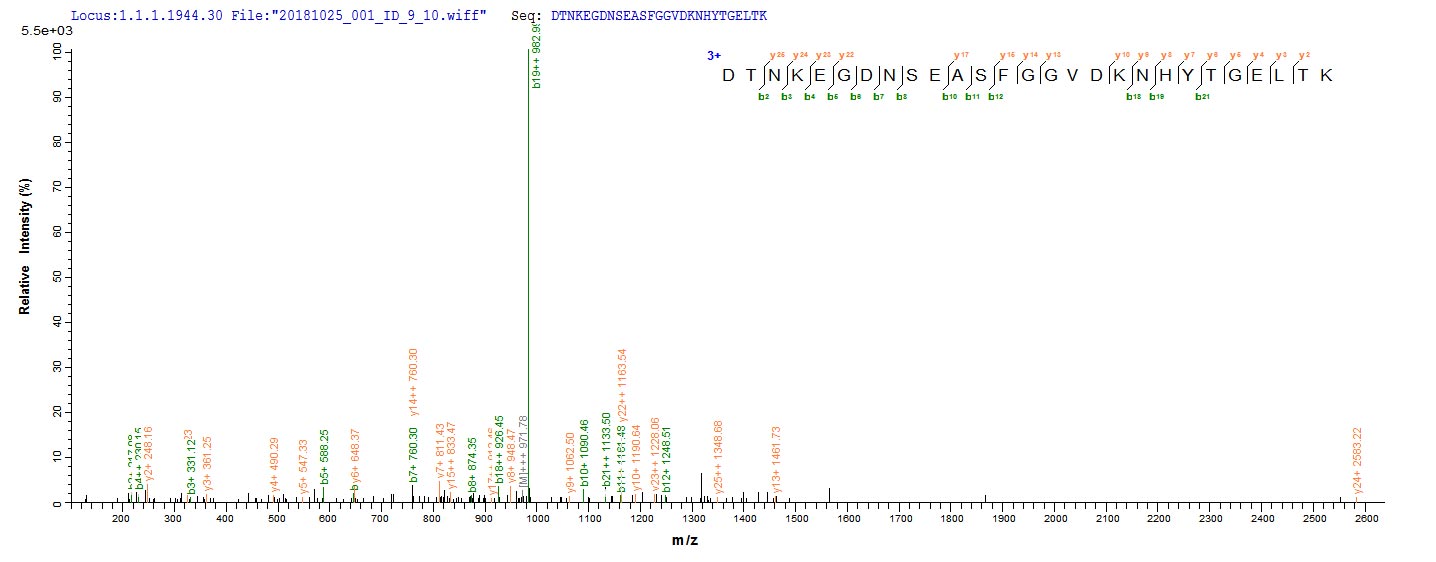 Based on the SEQUEST from database of E.coli host and target protein, the LC-MS/MS Analysis result of CSB-EP523645NGS could indicate that this peptide derived from E.coli-expressed Neosartorya fumigata (strain ATCC MYA-4609 / Af293 / CBS 101355 / FGSC A1100) (Aspergillus fumigatus) pep2.