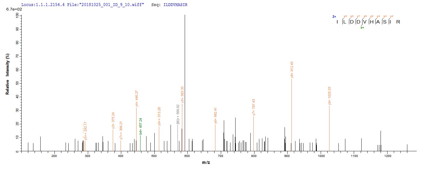 Based on the SEQUEST from database of E.coli host and target protein, the LC-MS/MS Analysis result of CSB-EP538512HTL could indicate that this peptide derived from E.coli-expressed Halobacterium salinarum (strain ATCC 29341 / DSM 671 / R1) btuD.