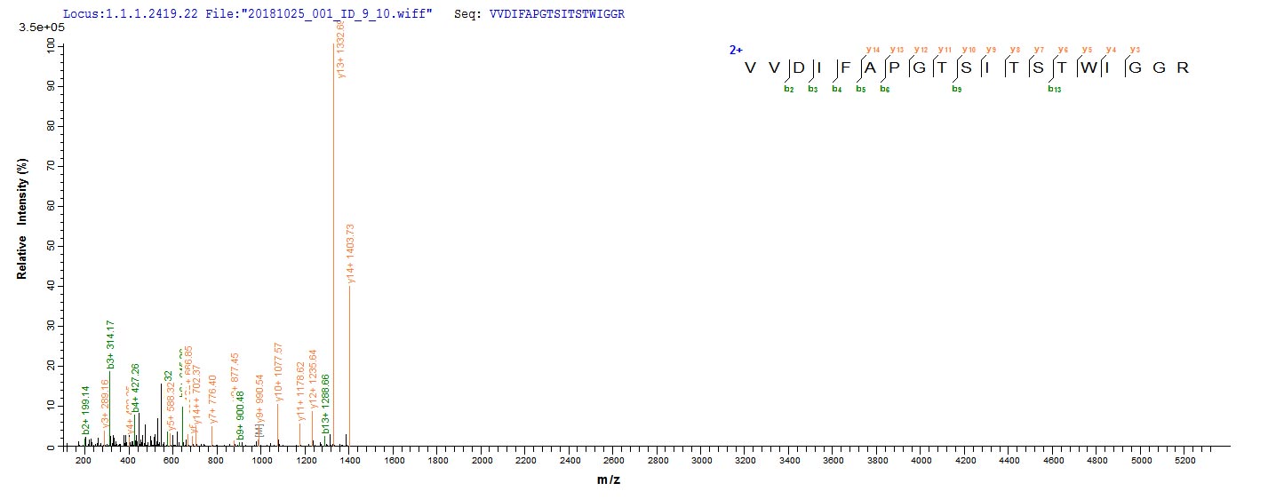 Based on the SEQUEST from database of E.coli host and target protein, the LC-MS/MS Analysis result of CSB-EP737896LCAT could indicate that this peptide derived from E.coli-expressed Lecanicillium psalliotae (Verticillium psalliotae) N/A.